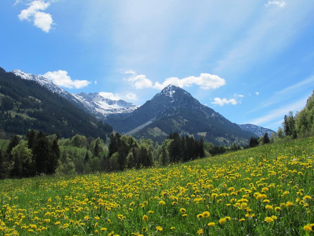Hornblick Fewo- Ab Mai Freie Fahrt Mit Bergbahnen Оберстдорф Экстерьер фото