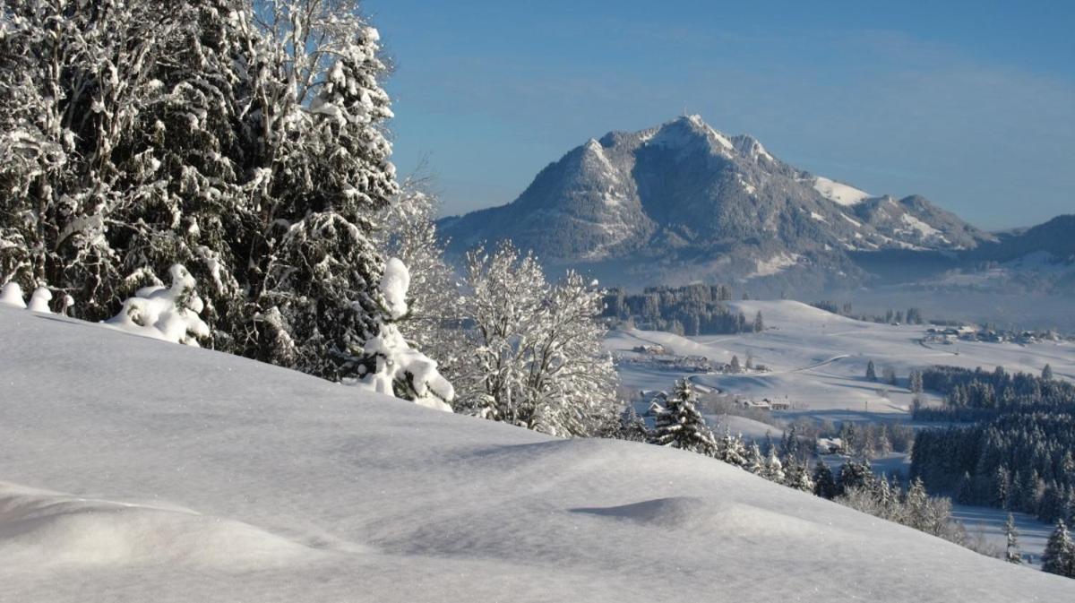 Hornblick Fewo- Ab Mai Freie Fahrt Mit Bergbahnen Оберстдорф Экстерьер фото
